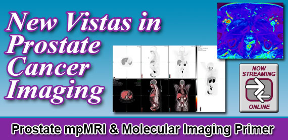 New Vistas in Prostate Cancer Imaging