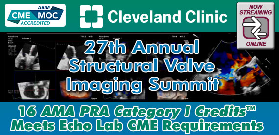 27th Annual Structural Valve Imaging Summit