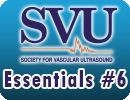 SVU Essentials #6: Cerebrovascular