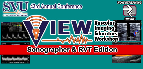 Vascular Imaging Educators Workshop: Sonographer & RVT Edition